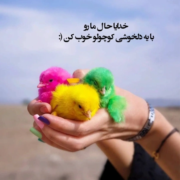 دانلود آهنگ دیدار سارن و سامی لو از فارس ترانه